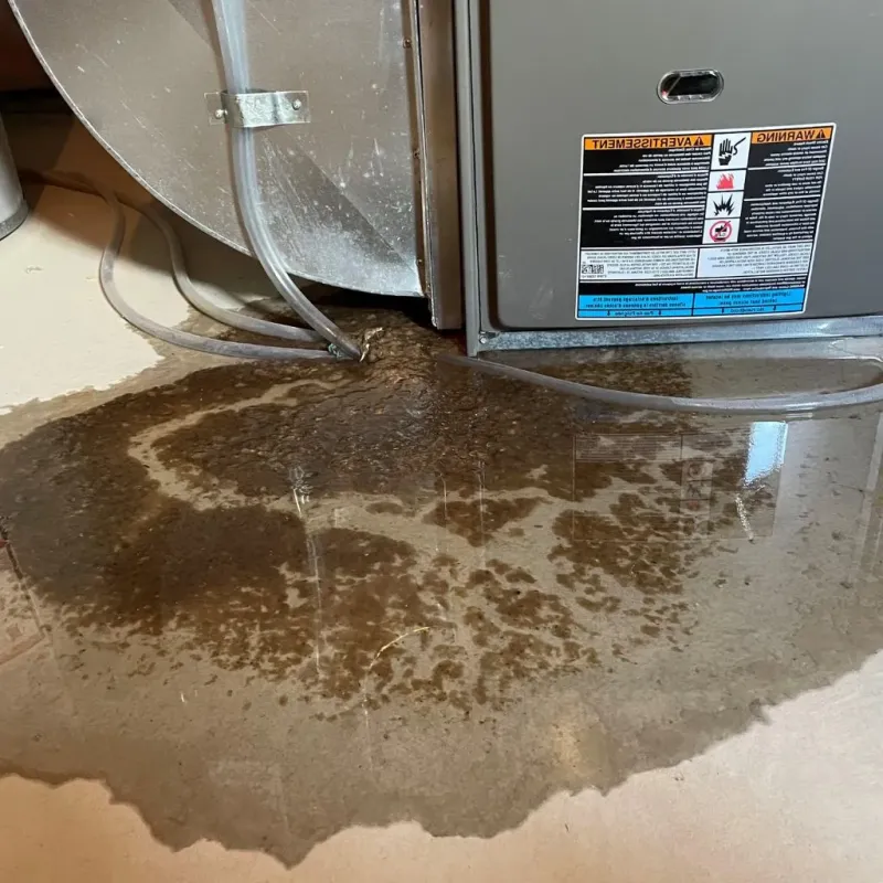 Pipe Burst and Leak Restoration in Parker, AZ