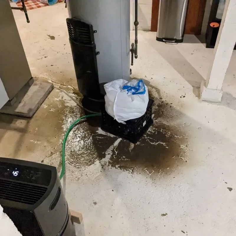 Sewage Backup Cleanup Service in Parker, AZ